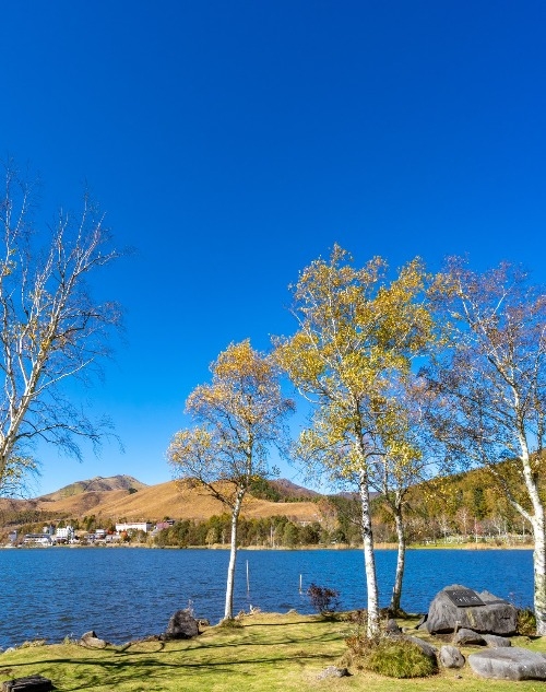 リゾートライフとレジャーを満喫！長野県白樺湖の魅力