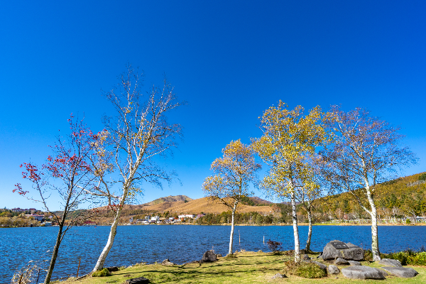 リゾートライフとレジャーを満喫！長野県白樺湖の魅力