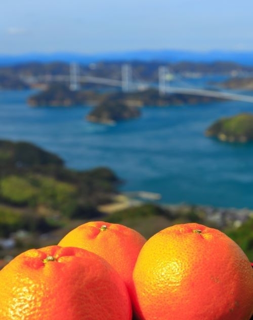 愛媛県のご当地グルメ８選