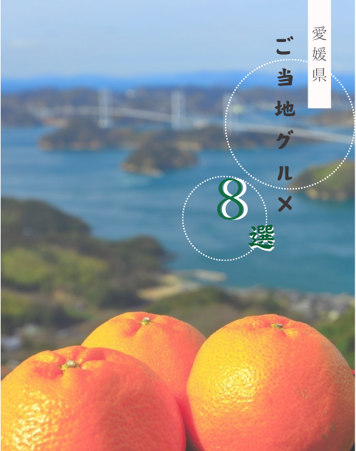 愛媛県のご当地グルメ８選