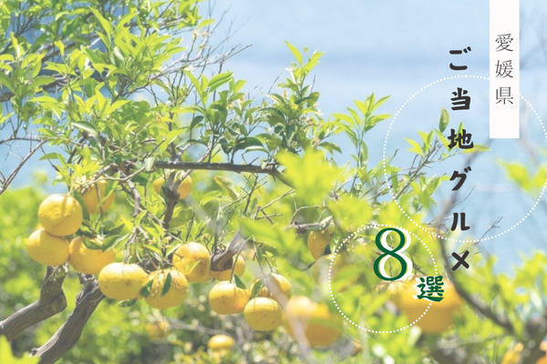 愛媛県のご当地グルメ８選