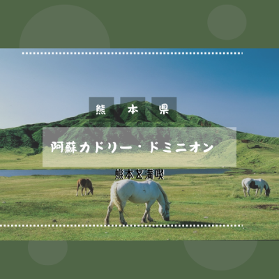 家族で熊本に来たら阿蘇カドリー・ドミニオンへ行ってみよう！