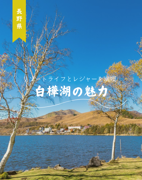 リゾートライフとレジャーを満喫！長野県白樺湖の魅力