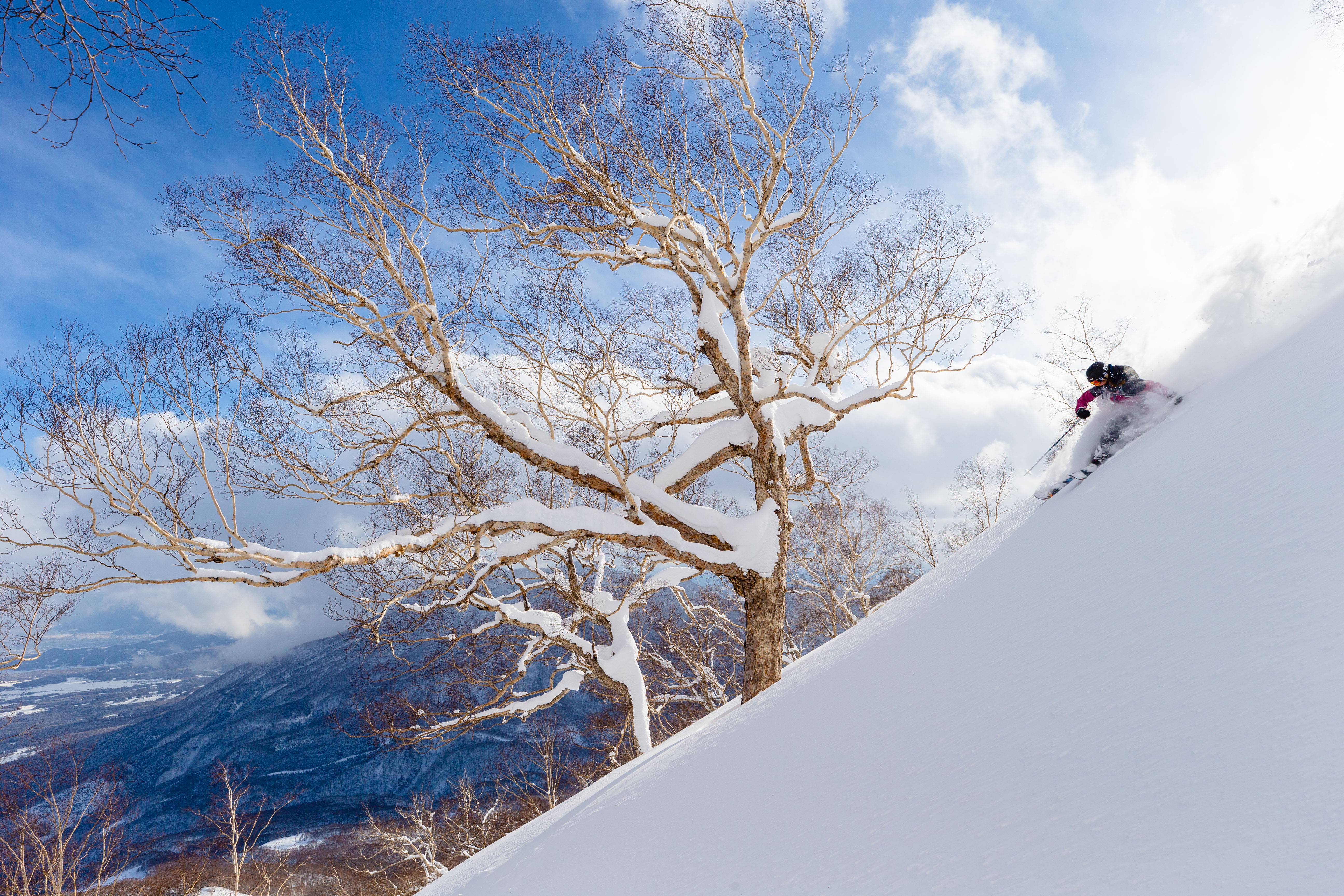 画廊池の平雪の道と妙高山 画廊池の平雪の道と妙高山最新