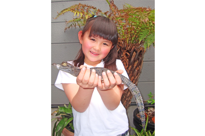 体感型動物園iZooお得な割引チケット販売中！ | いこまい